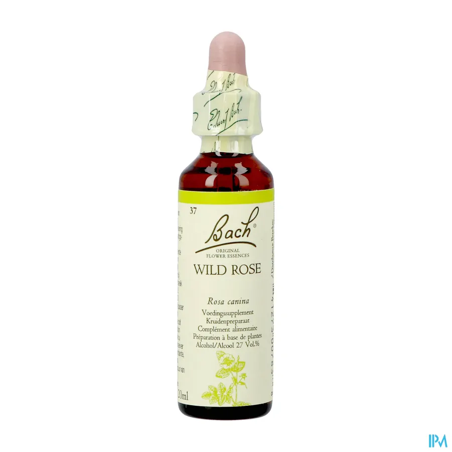packshot van Bach Bloesem Wild Rose
