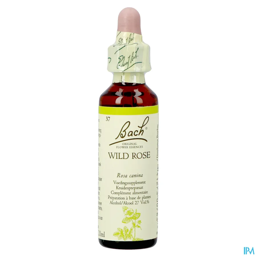 packshot van Bach Bloesem Wild Rose